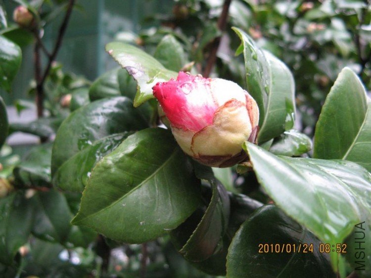 ��Ƭ 346-1.jpg