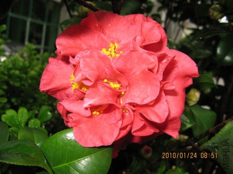 ��Ƭ 345-1.jpg