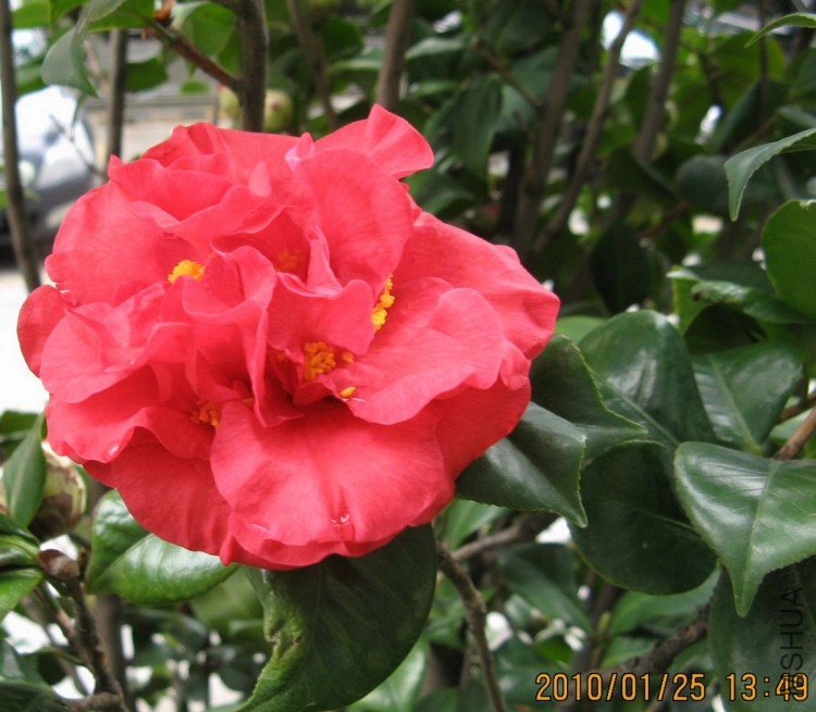 ��Ƭ 368-1.jpg