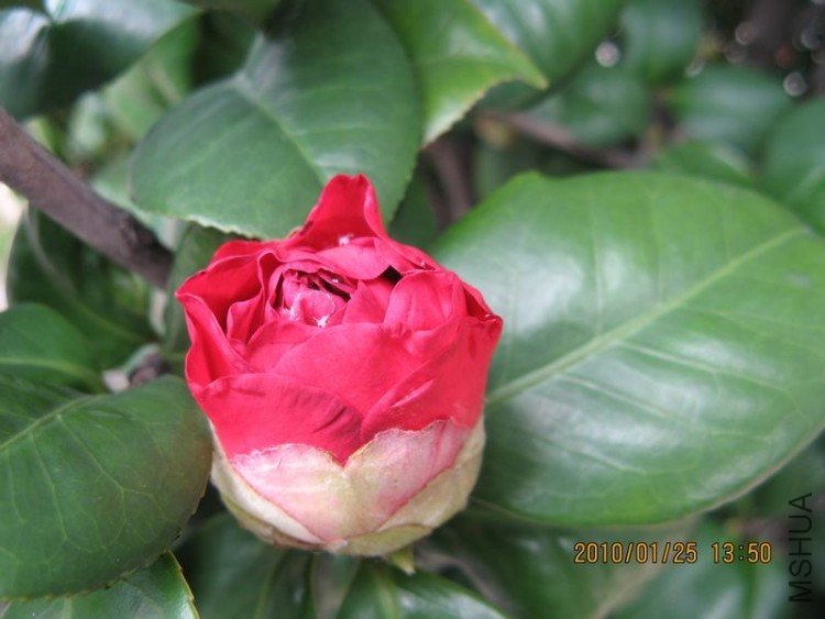��Ƭ 371-1.jpg
