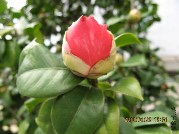 ��Ƭ 372-1.jpg