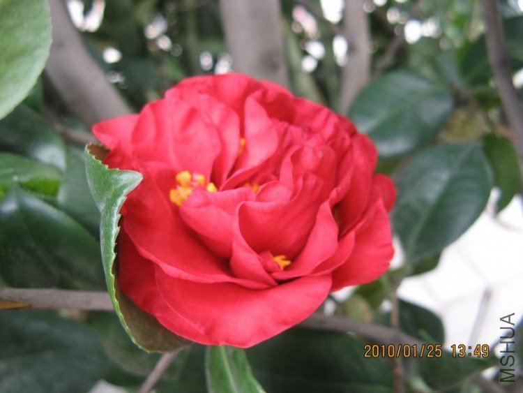 ��Ƭ 369-1.jpg
