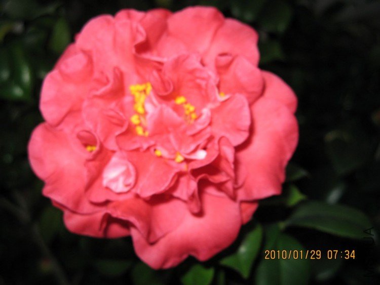 ��Ƭ 463-1.jpg