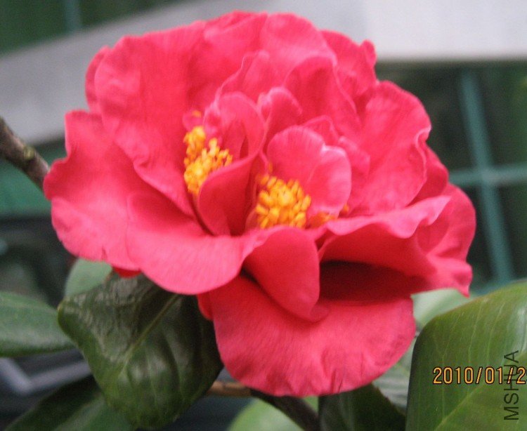 ��Ƭ 468-1.jpg