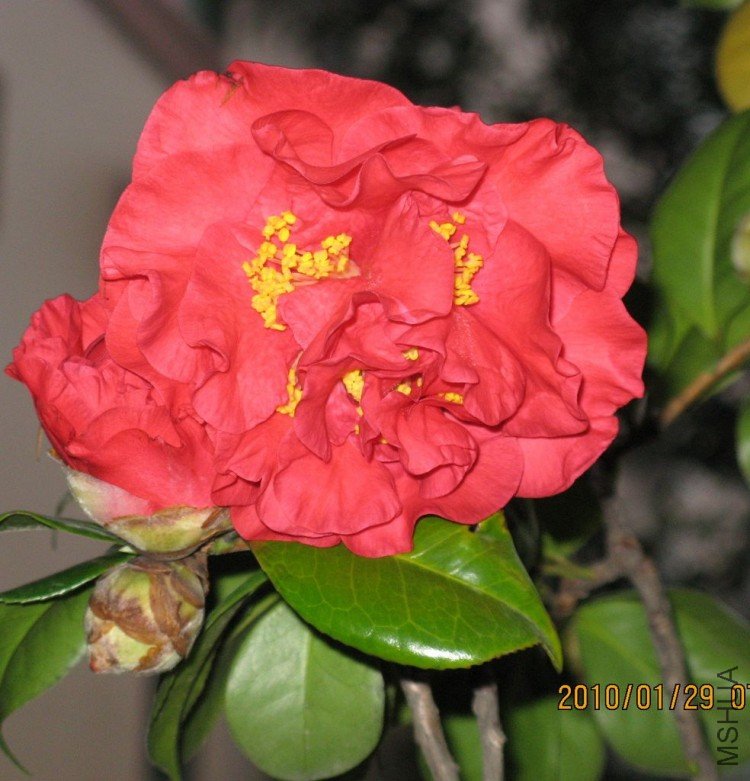 ��Ƭ 462-1.jpg
