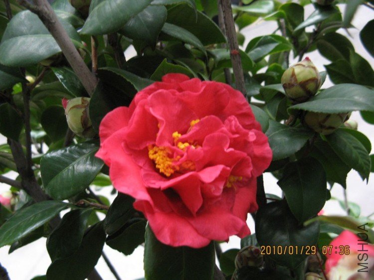 ��Ƭ 471-1.jpg
