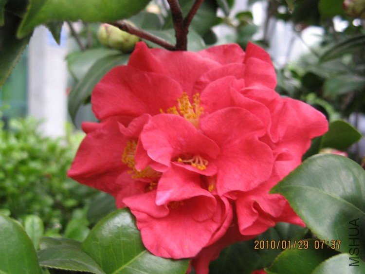 ��Ƭ 472-1.jpg