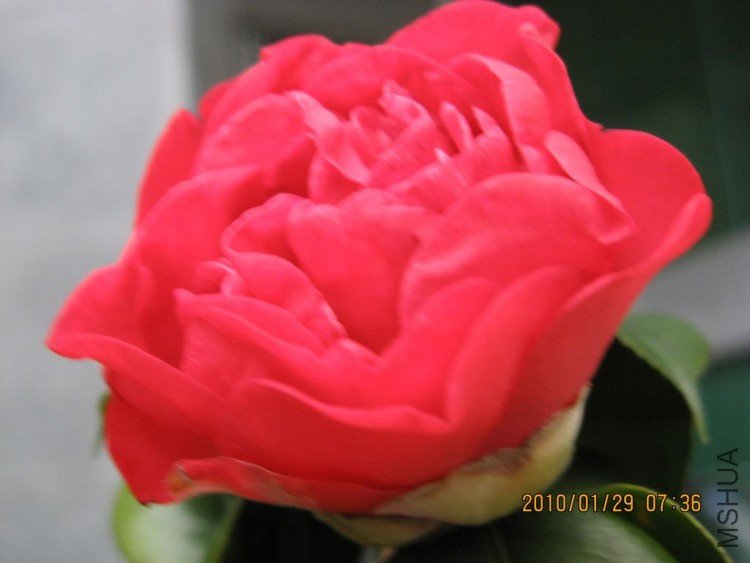 ��Ƭ 470-1.jpg