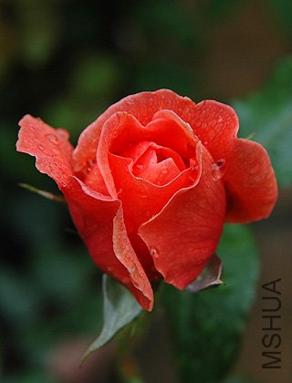 142_7200_1.jpg