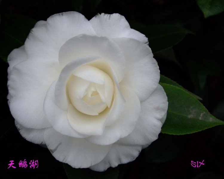 ���� 10-2-2 (2).jpg