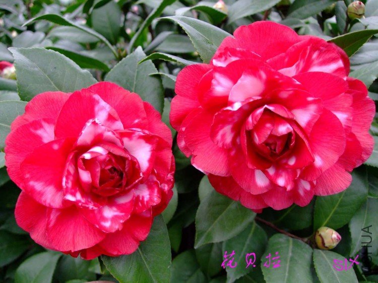 ������ 10-2-2.jpg