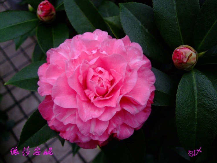 ��ɯ���� 10-2-2 (2).jpg