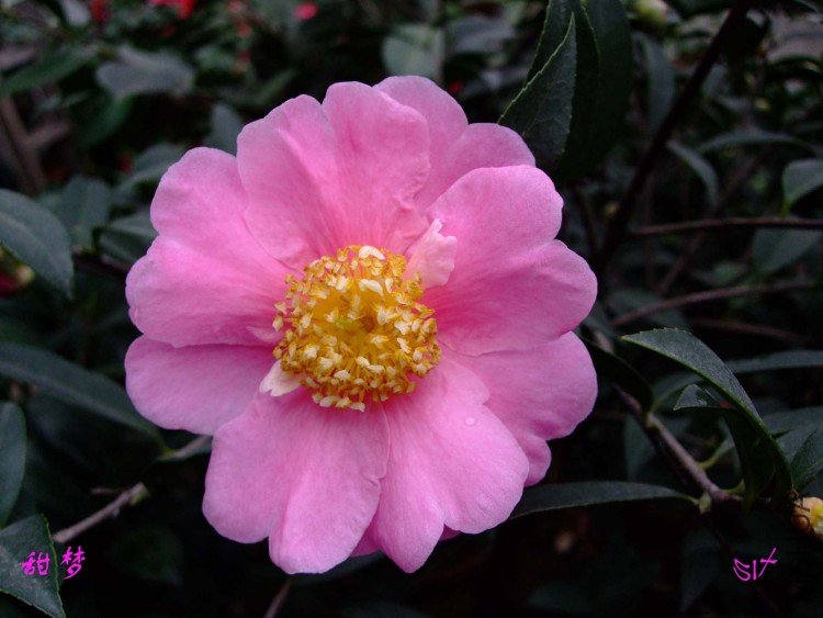 ���� 10-2-2.jpg