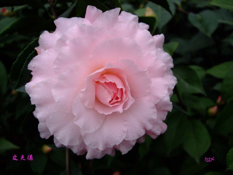 �ķ�� 10-2-2.jpg