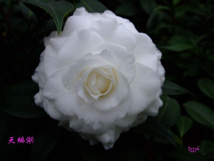 ���� 10-2-2(1).jpg