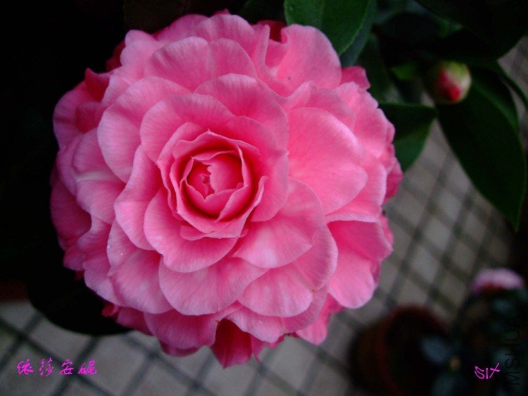 ��ɯ���� 10-2-2(1).jpg