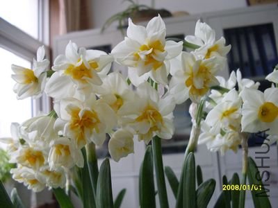 SDC10371.JPG