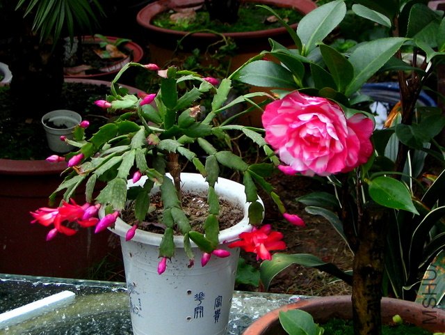 ������������