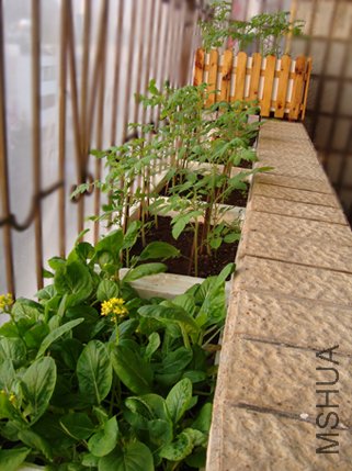 ����˶�����