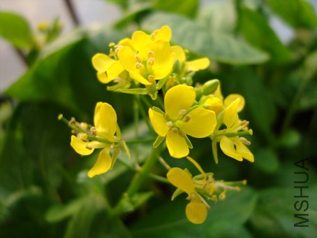 ����˵Ļ���ͦ�ÿ�