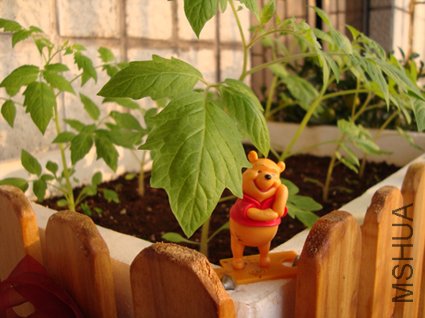 �����ǻ��ڼ��ظ�λ�������������ģ��Ǻ�