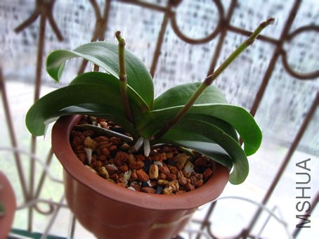 ��������ǹ���úÿ�