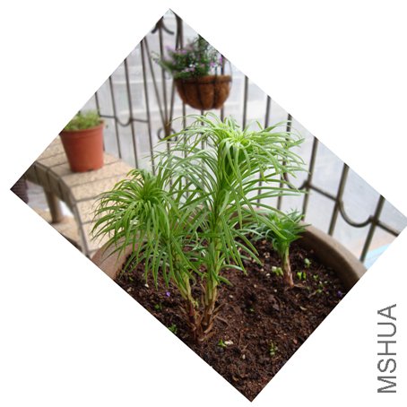 �ǰٺ��������������˼ҵĲ���������ѽ����֪���ܲ��ܿ���