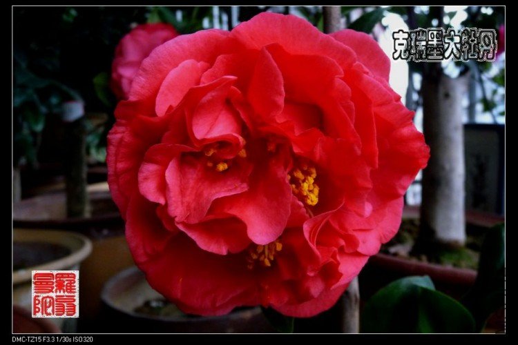 ����Ī05.jpg