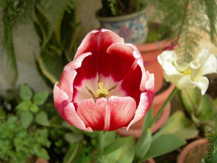 DSCN0792.JPG