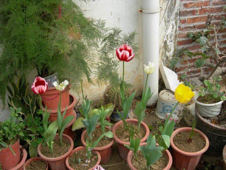 DSCN0791.JPG