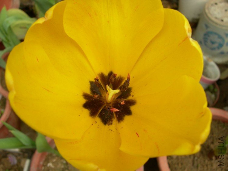DSCN0793.JPG