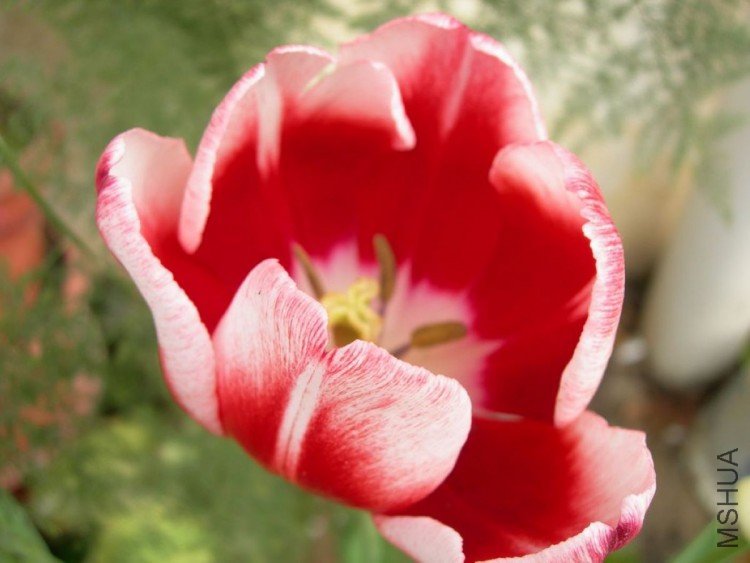 DSCN0794.JPG