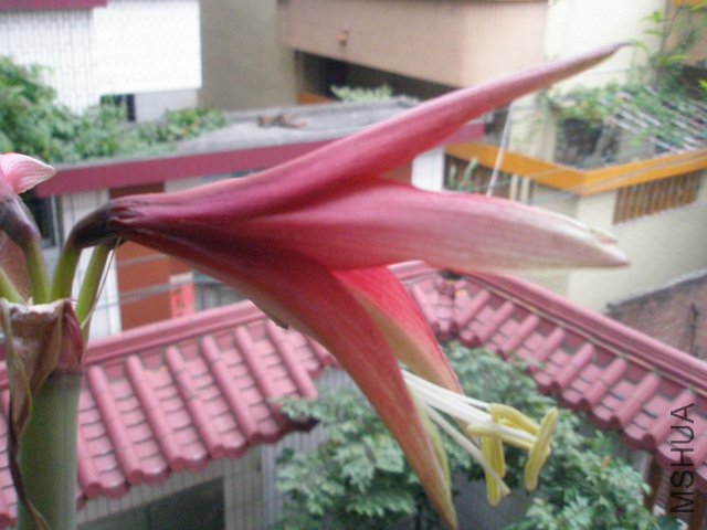 P2030138.jpg