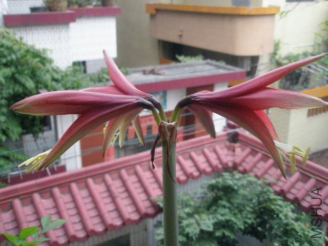 P2030137.jpg