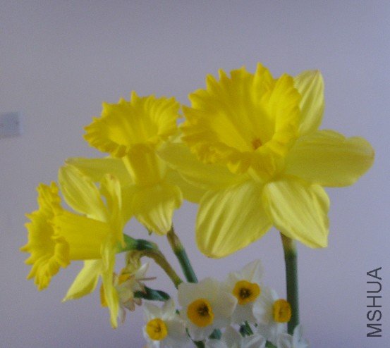 ��ˮ����