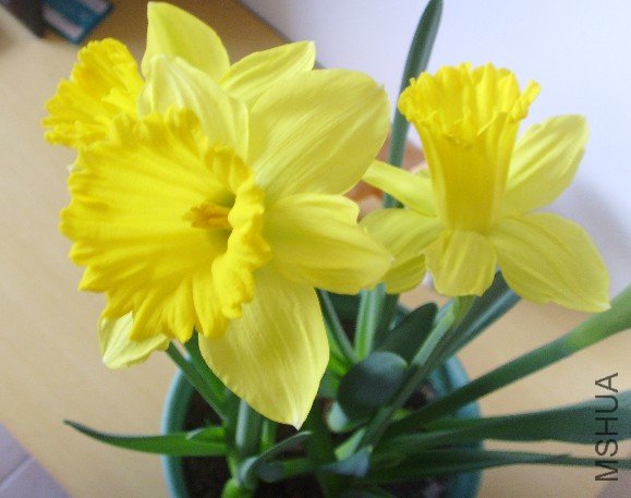 ���쿪������