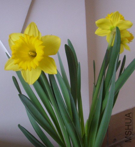 �����ֿ�������