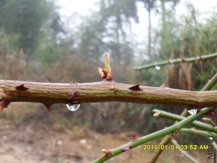 �����ŵ�������迪ʼ��ѿ��