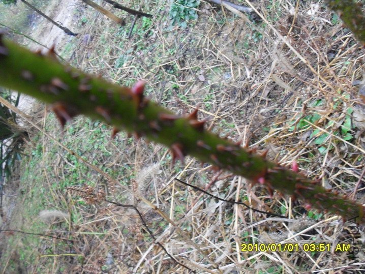 ��������������