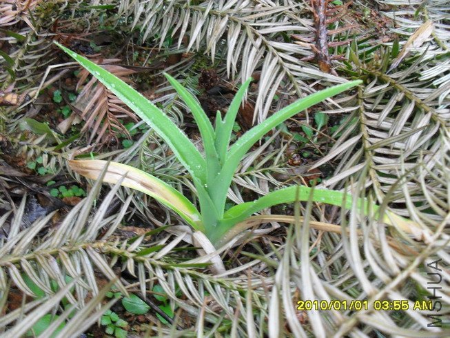 ���¿�ʼ�л����ļ�����