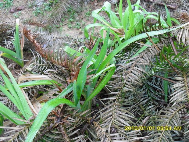 ����û���磬������ų�