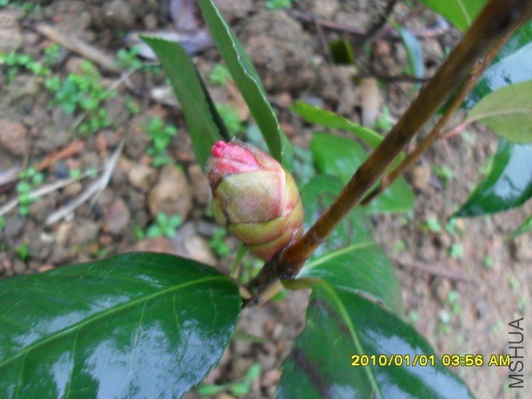 �������ٵ��꼪