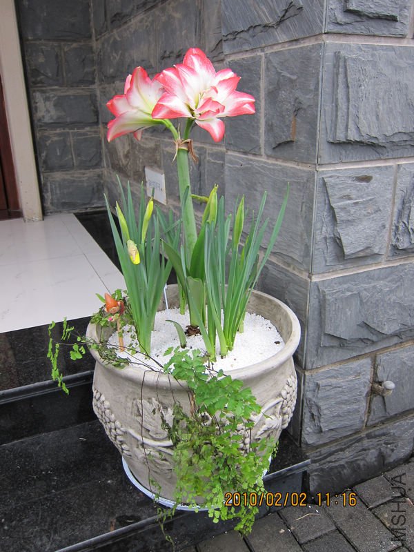 nEO_IMG_IMG_0002.jpg