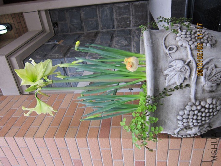 nEO_IMG_IMG_0008.jpg