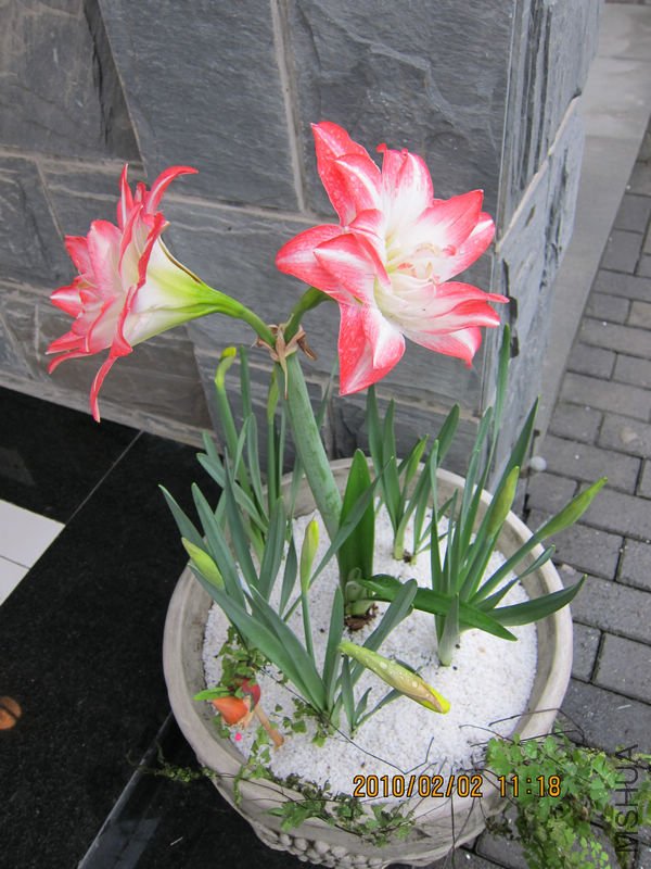 nEO_IMG_IMG_0012.jpg