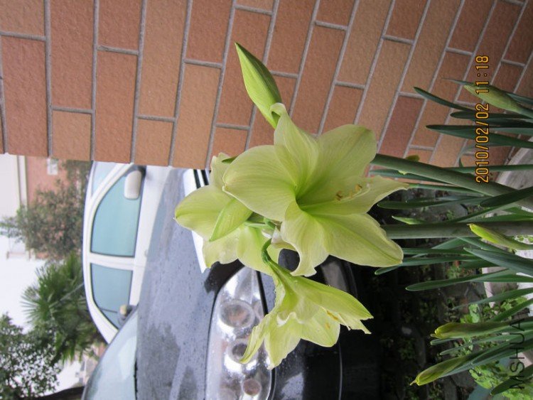 nEO_IMG_IMG_0010.jpg