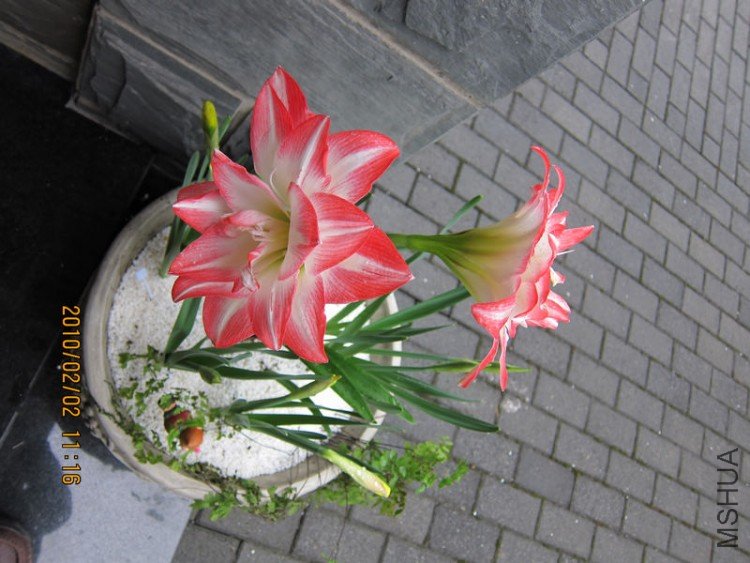 nEO_IMG_IMG_0004.jpg