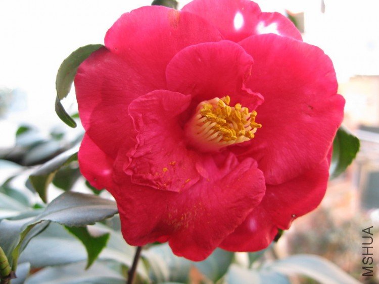 ȥ���¹���С��