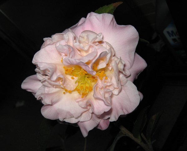IMG_0755.jpg