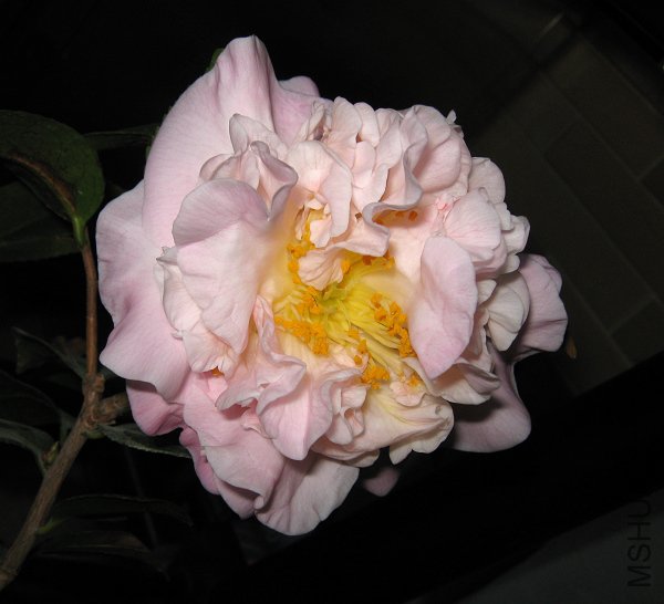 IMG_0758.jpg